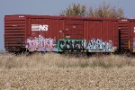 NS 450753
